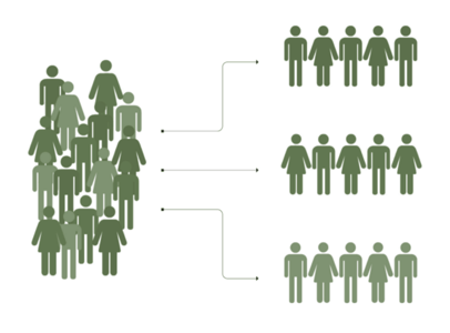 Segmentation