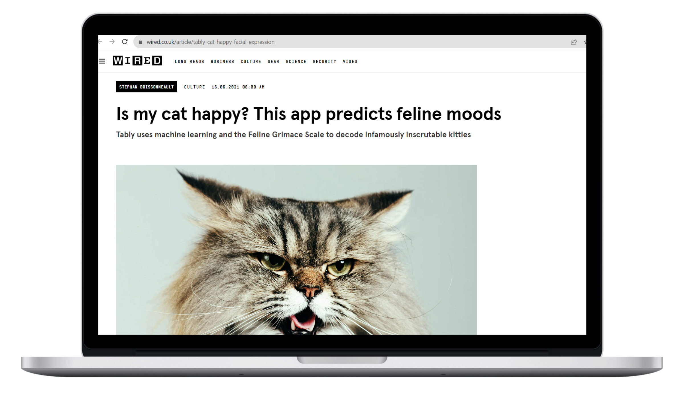 Sylvester Case Study - Wired Article on Laptop